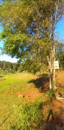 Foto Terreno en Venta en Leandro N Alem, Misiones - $ 1.000.000 - pix6115887 - BienesOnLine