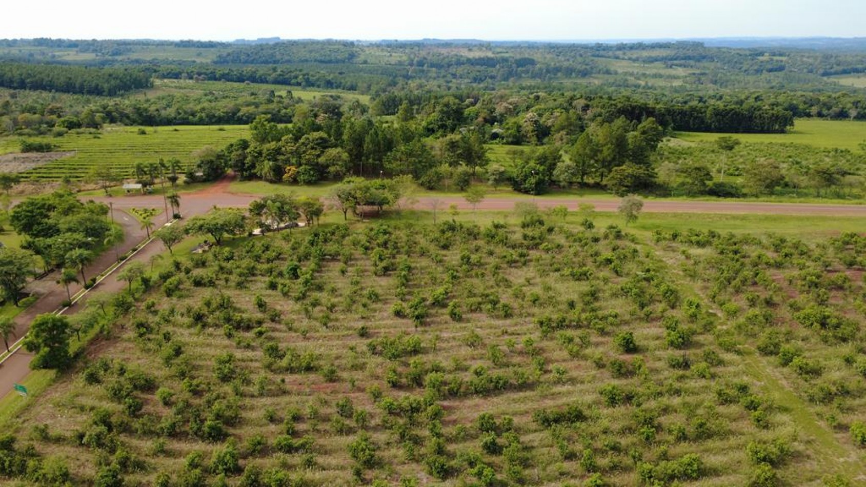 IMPORTANTE LOTEO EN CAMPO RAMON MISIONES
