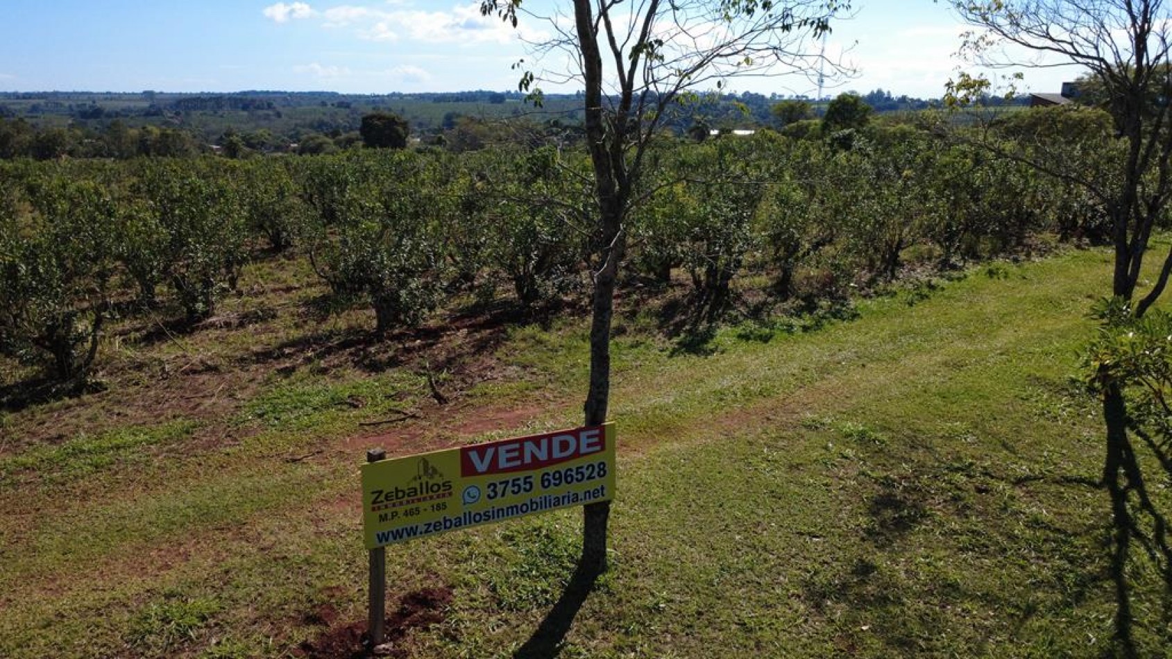IMPORTANTE LOTEO EN CAMPO RAMON MISIONES