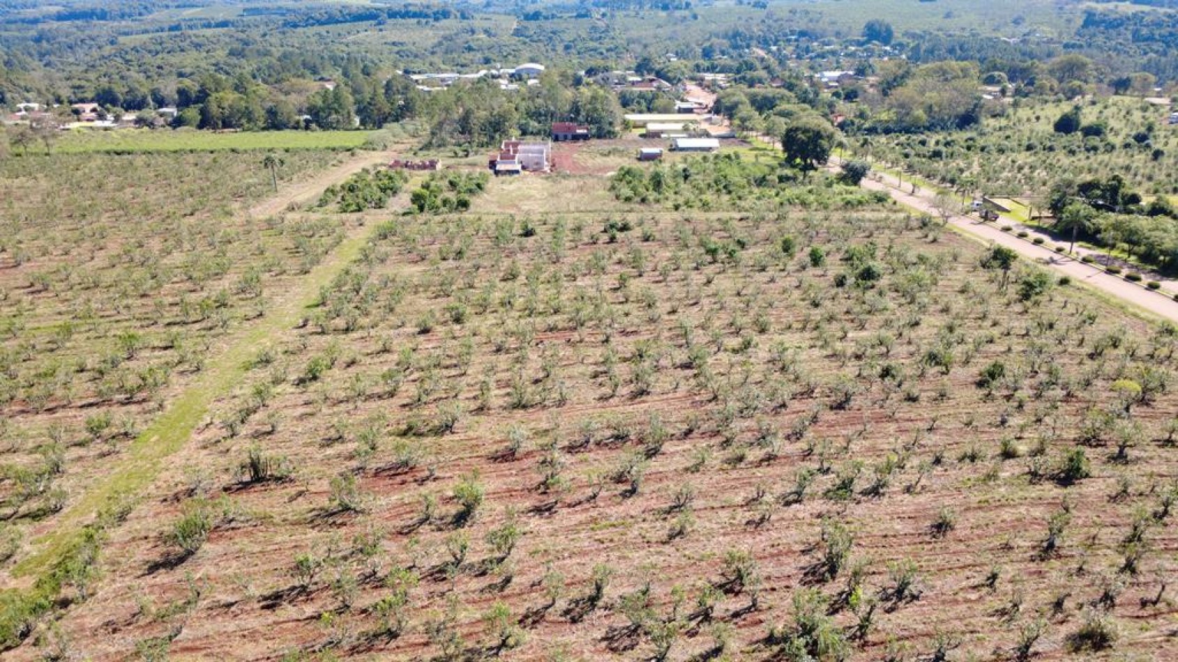 IMPORTANTE LOTEO EN CAMPO RAMON MISIONES