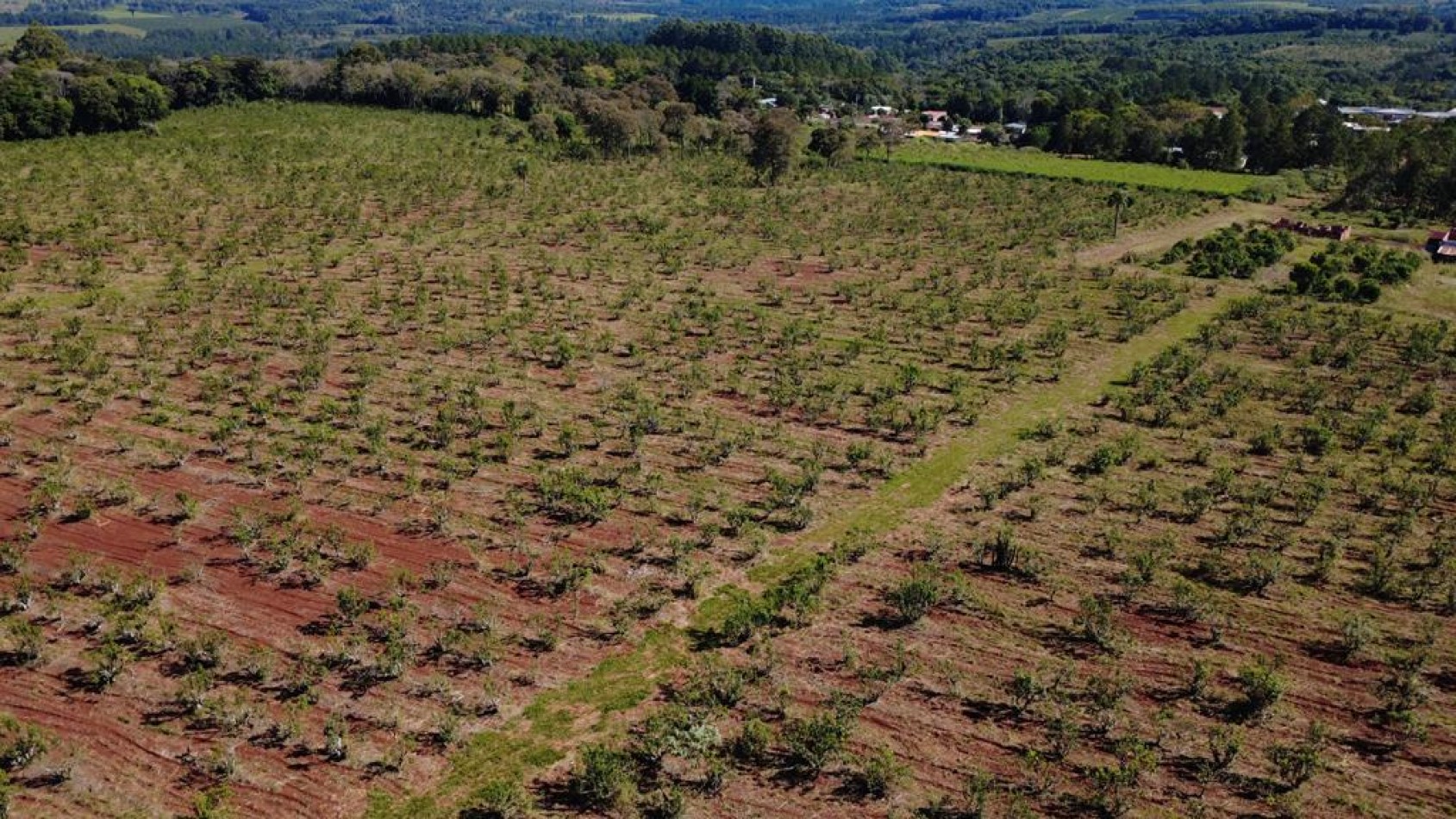 IMPORTANTE LOTEO EN CAMPO RAMON MISIONES