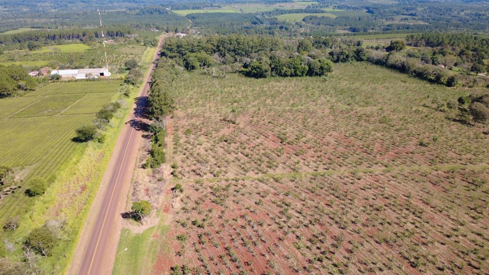 IMPORTANTE LOTEO EN CAMPO RAMON MISIONES