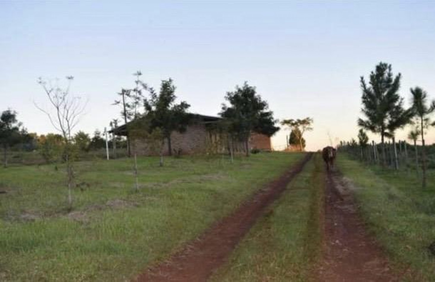 OPORTUNIDAD DE INVERSION EN MISIONES