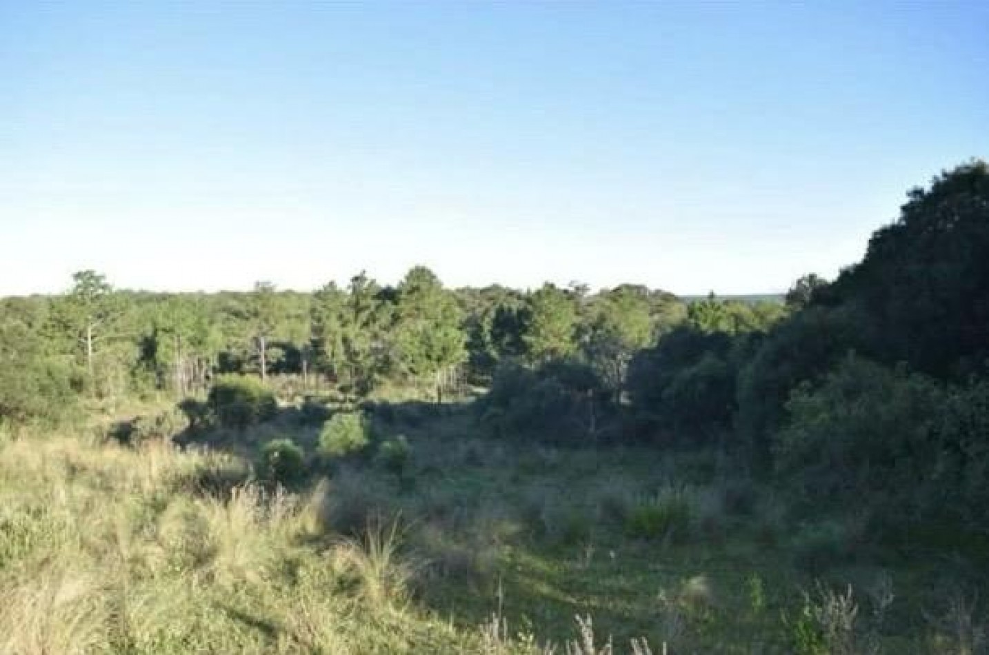 OPORTUNIDAD DE INVERSION EN MISIONES