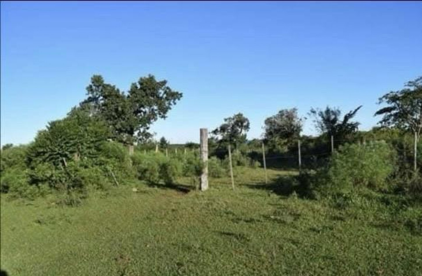 OPORTUNIDAD DE INVERSION EN MISIONES