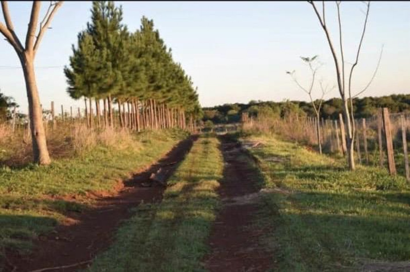 OPORTUNIDAD DE INVERSION EN MISIONES