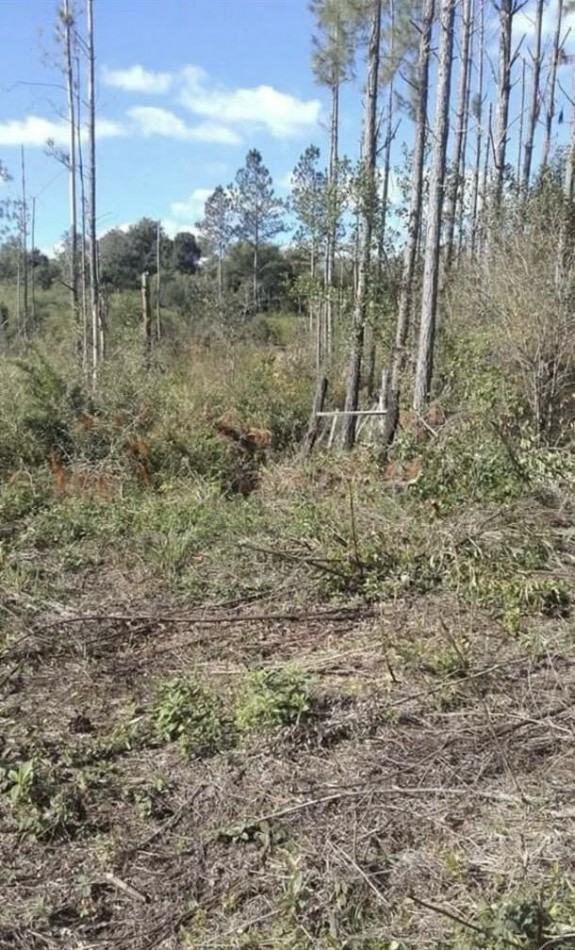 OPORTUNIDAD DE INVERSION EN MISIONES