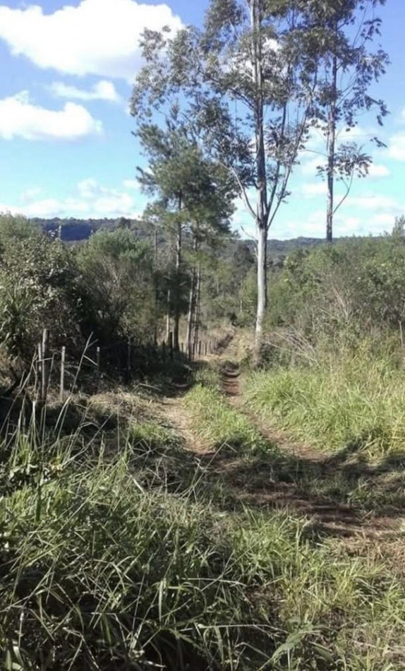 OPORTUNIDAD DE INVERSION EN MISIONES