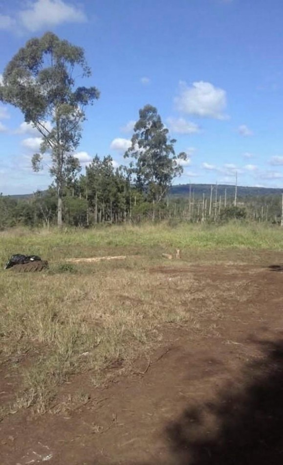 OPORTUNIDAD DE INVERSION EN MISIONES