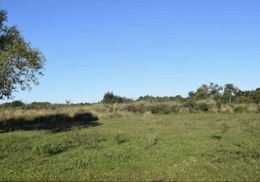 OPORTUNIDAD DE INVERSION EN MISIONES